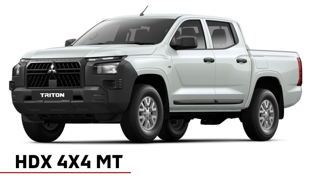 TRITON HDX